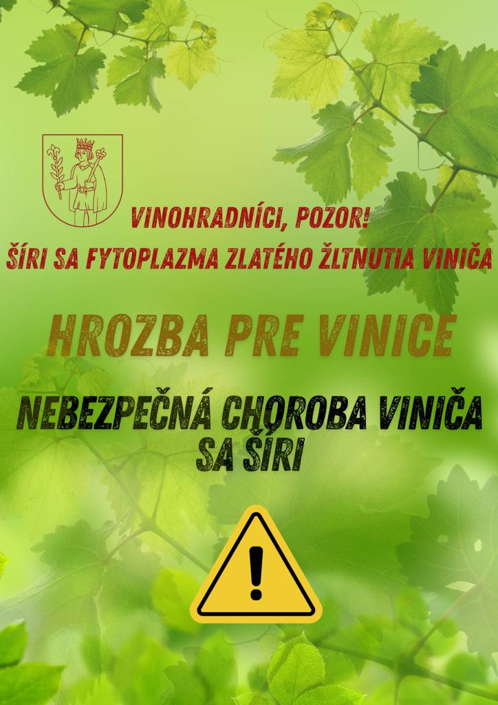 V slovenských viniciach sa šíri fytoplazma zlatého žltnutia viniča – choroba, ktorá môže vážne ohroziť vaše úrody.