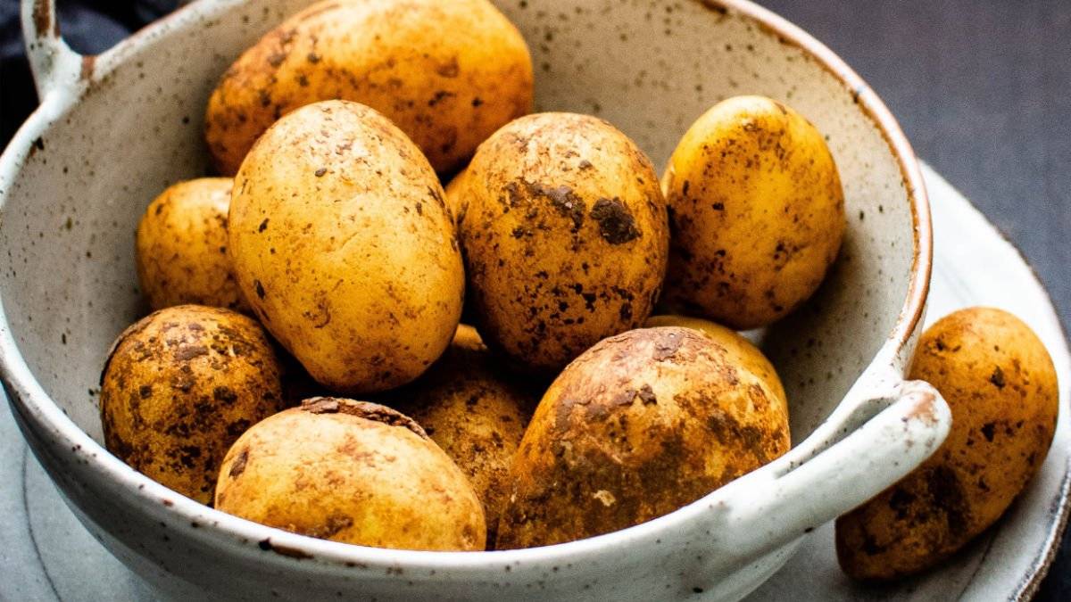 Vážení občané, chceme vás informovat o vyorávání brambor. Platba: V pracovní době od 7:00 do 15:00 u paní Kužilkové. (na středisku v Hošticích) Cena vyorávání:   Členové ZOD Haná: 1 600 Kč/ar   Ostatní a nadlimitní: 2 400 Kč/ar   Odvoz brambor: 150 Kč   Termín vyorávání: 22. 9. - 27. 9. 2025, vždy od pondělí do soboty v čase 7:00 - 15:00. Důležité upozornění: Bez dokladu o zaplacení nebudou brambory vyorány. Platba je možná pouze v hotovosti.