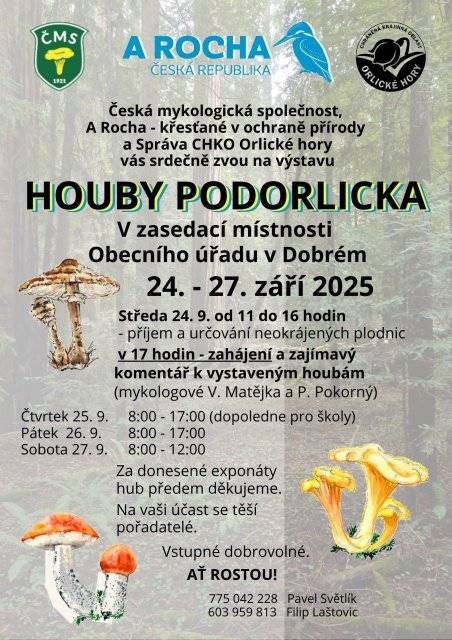 se bude konat 24.-27. září 2025  v prostorách zasedací místnosti Obecního úřadu v Dobrém  Jste srdečně zváni!