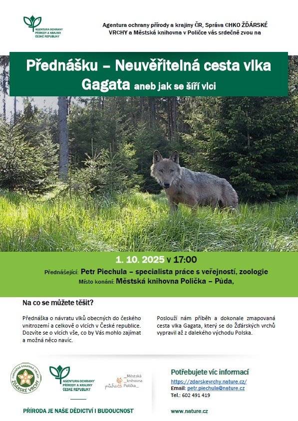 Agentura ochrany přírody a krajiny ČR, Správa CHKO Žďárské vrchy a Městská knihovna v Poličce vás srdečně zvou na přednášku „Neuvěřitelná cesta vlka Gagata aneb jak se šíří vlci“. Přednáška je věnovaná návratu vlků obecných do českého vnitrozemí a celkově jejich výskytu v České republice. Dozvíte se o vlcích vše, co by vás mohlo zajímat, a možná i něco navíc. Příběh a dokonale zmapovaná cesta vlka Gagata, který se do Žďárských vrchů vypravil až z dalekého východu Polska, nám poslouží jako hlavní nit celé přednášky.