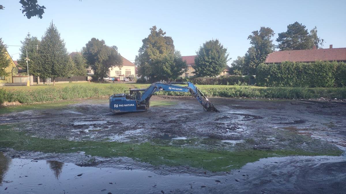 Dobrý den, dnešním dnem začala těžba sedimentů v našem rybníce a odvoz na pole. Sediment i pole mají rozbory, na jejichž základě bylo povoleno bahno ukládat na zemědělskou půdu. Na příjezdových cestách jsou ovšem můstky, které nevyhověli těžkým Tatrám, takže dopravní úřad nařídil a povolil jinou trasu - kolem křížku na návsi a přes Oskořínek, kolem Putnových a Batelových. Trasu by měla firma čistit, dostali instrukce jezdit pomalu a opatrně, tak, aby chránili jak naši silnici tak obyvatele. Jen prosíme umožněte jim průjez a neparkujte vozidla na ulici. Nebude-li opět pršet, těžba by měla trvat 2 týdny. Děkujeme za pochopení