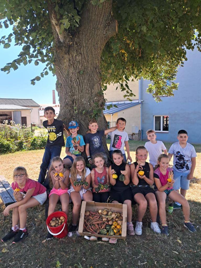 Děti sklízí a pečují o školní zahradu