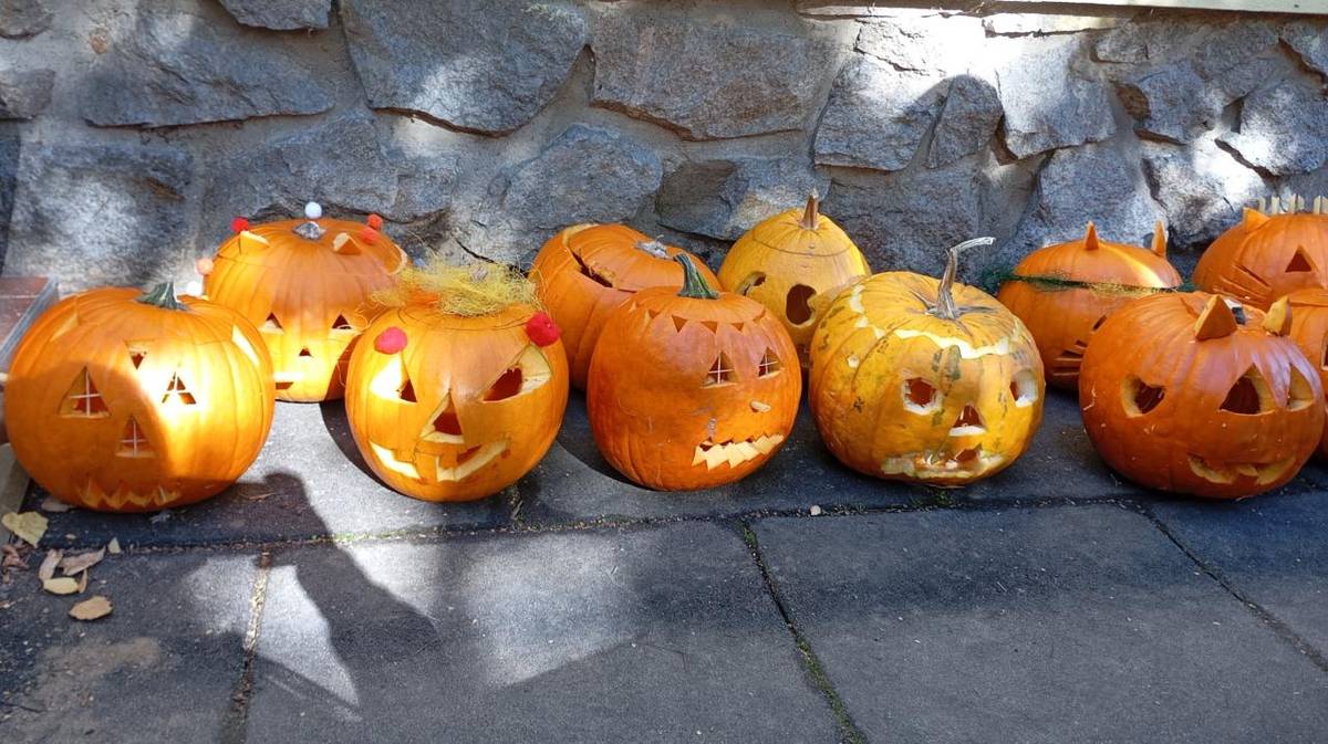 Ve čtvrtek 18. září se zahrada naší mateřské školy proměnila v kouzelné podzimní dílny, kde se konala akce Dýňohraní. Děkujeme všem za účast, sladké i slané dobroty a pohodovou rodinnou atmosféru. Těšíme se, jak nás budou vyrobená dýňová strašidla provázet na Večerní dýňové stezce.