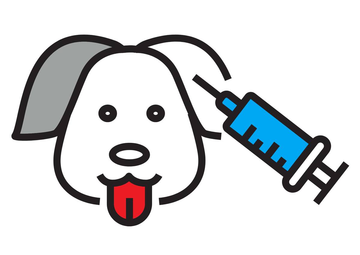 Dobrý den. Opět po roce nabízí veterinární ordinace BENEMASTR možnost vakcinace psů proti vzteklině. Kdy: sobota 4. října 2025 11:00 - 11:45 Kde: před budovou obecního úřadu Cena: 250,- Kč Vakcinace psů proti vzteklině je ze zákona povinná, pokud jste ještě nenavštívili svého veterináře. ✔️ Na této akci lze i navakcínovat kombinovanou vakcínou proti psince, parvoviroze, hepatitidě, leptospiroze a vzteklině za 500,- Kč. ✔️ Pes musí přijít v doprovodu osoby starší 15 let a být opatřen vodítkem a náhubkem. Obecní úřad Žďárky