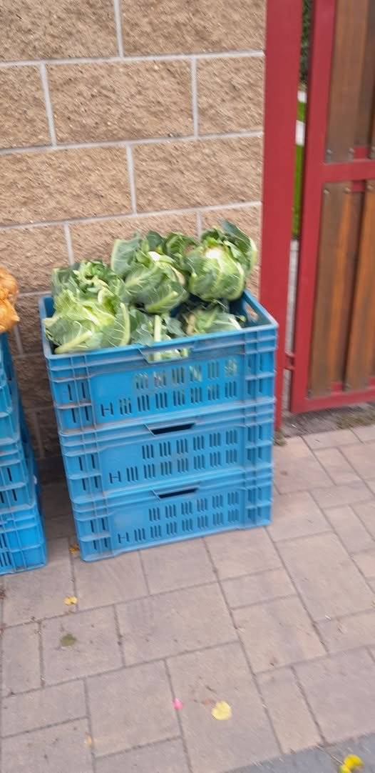 Milí sousedé, kdo ještě nevíte, Jakubcovi spustili oblíbený bezobslužný prodej zeleniny. Nyní v prodeji opět čerstvý květák, takový v obchodě nekoupíte .Prodejní stánek je v bedýnkách na chodníku u hlavní silnice, v Nedomicích před čp 87.