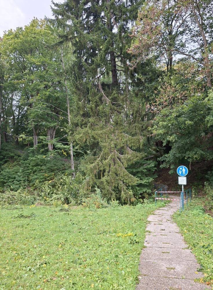 !!! UZAVŘENÍ CESTY Z důvodu pádu stromu a hrozícímu pádu dalšich stromů, je dočasně uzavřena cesta z ulice Vrchlabská u čp. 60 (naproti ORLEN) směr Bedřichov k ulici Horská k čp. 66 (zkratka). Kvůli současnému počasí bude nebezpeči odstraněno jakmile to bude možné, Správou KRNAP.