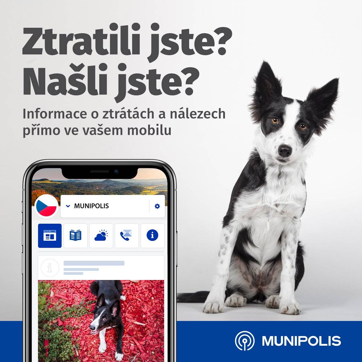 Ve ztrátách a nálezech můžete informovat o ztracených věcech (např. klíče, tašky, mobilní telefony) a domácích mazlíčcích nebo o nálezech, které by mohly být vráceny jejich majitelům.