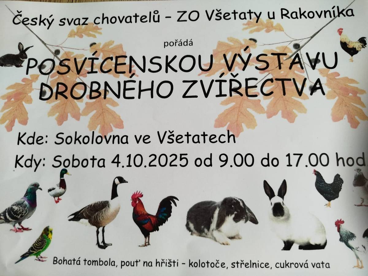 Český svaz chovatelů - ZO Všetaty u Rakovníka pořádá dne 4.10.2025 od 09:00 do 17:00 hod. Posvícenskou výstavu drobného zvířectva.
