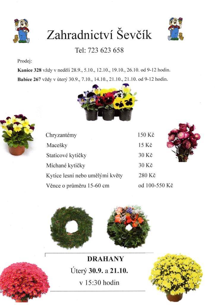 Zahradnictví Ševčík pořádá prodej květin v Drahanech, který se uskuteční v úterý 30. září a 21. října 2025. Na akci budou k dostání chryzantémy za 150 Kč, macešky za 15 Kč a staticové kytičky za 30 Kč. Věnce o průměru 15-60 cm budou nabízeny od 100 do 550 Kč.