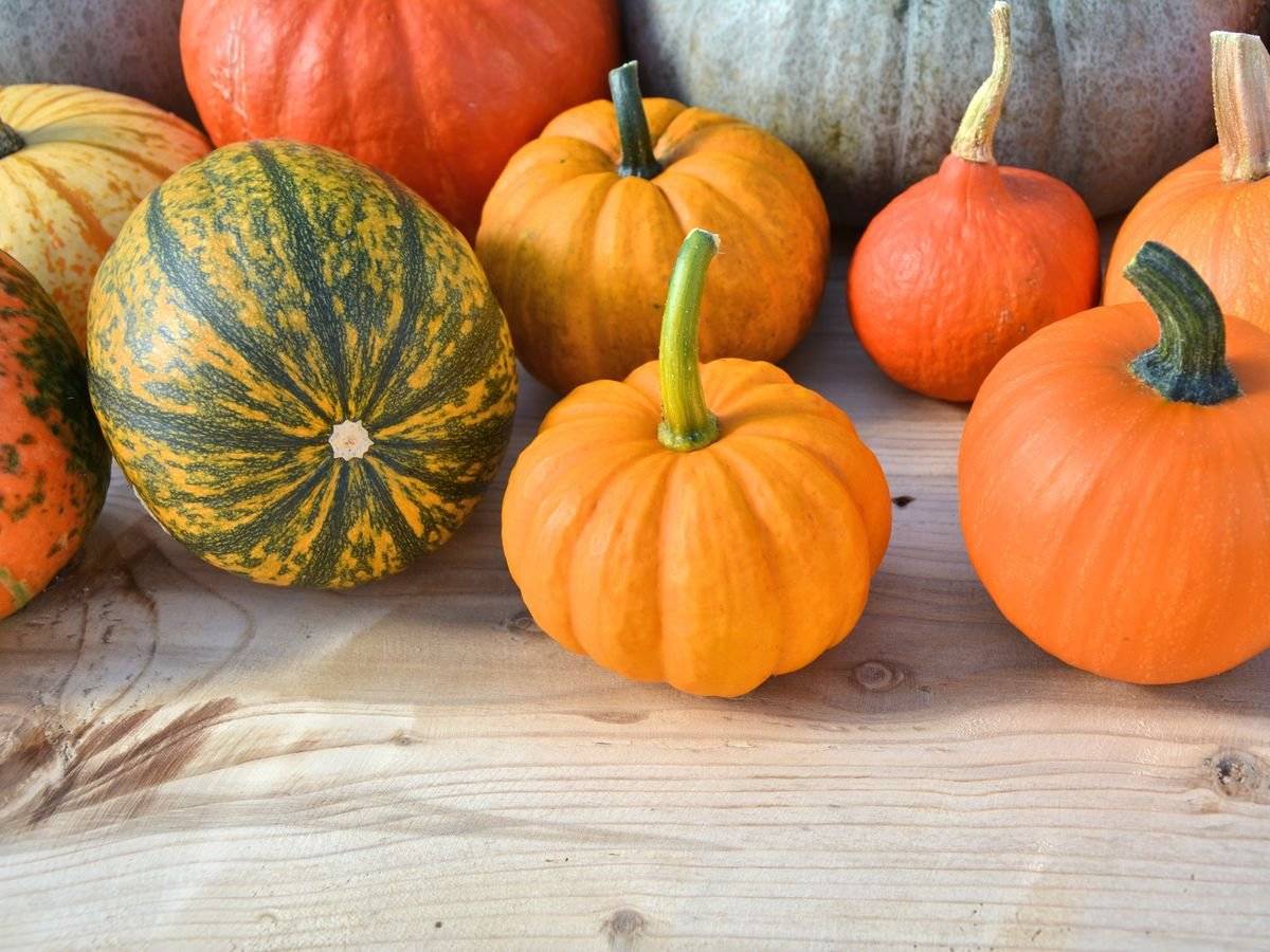 Hledáme dýně na výzdobu "betlémku" před budovou bývale školy. Máte doma volné dýně a chcete je věnovat? Přineste je prosím v průběh příštího týdne na obecní úřad 🎁. Vaše dýně rozzáří obec a udělají radost dětem i návštěvníkům obce 🌟. Děkujeme za Vaši ochotu a pomoc! 🙏