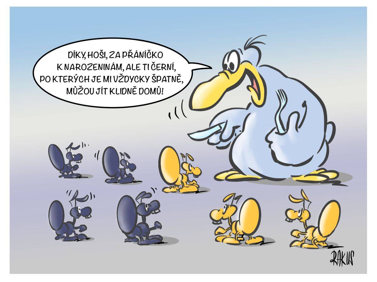 Narozeninový výběr