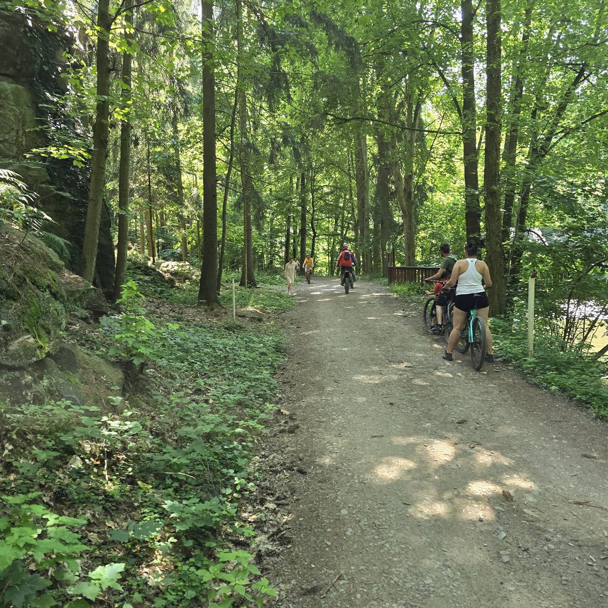 Rychlé info po dnešníé větrné noci. Cesta Žernov - Pohodlí - Ratibořice je dnes neprůjezdná! Lokality Pohodlí, Babiččino údolí, Bathildina stezka podél Úpy, Červený most, atd...prosíme nevstupovat, jsou tam popadané stromy!!!   Děškujeme.   Libor Mojžíš