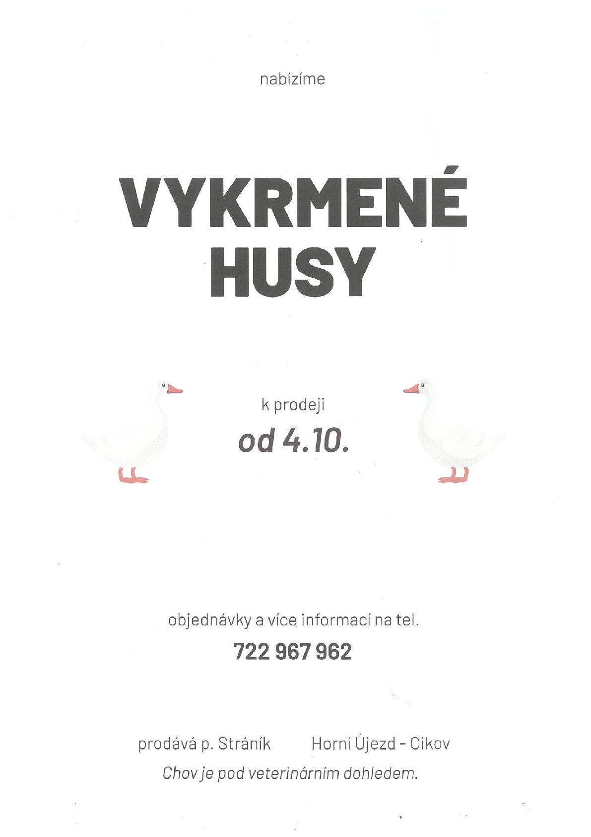 Pan Stráník nabízí od 4. 10. k prodeji vykrmené husy . Objednávky a bližší informace na tel.: 722 967 962.