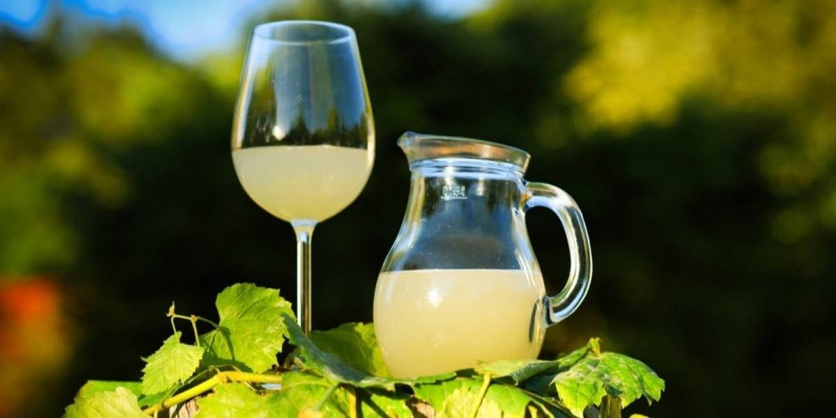 Krámek s DOBROtaMi zahájil prodej burčáku. Kdo chce mít jistotu, přijďte si objednat, nebo koupit hned. Ve čtvrtek otevřeno do 17h, v pátek do 18h, víkend 10-15h. Těšíme se na vaší návštěvu.