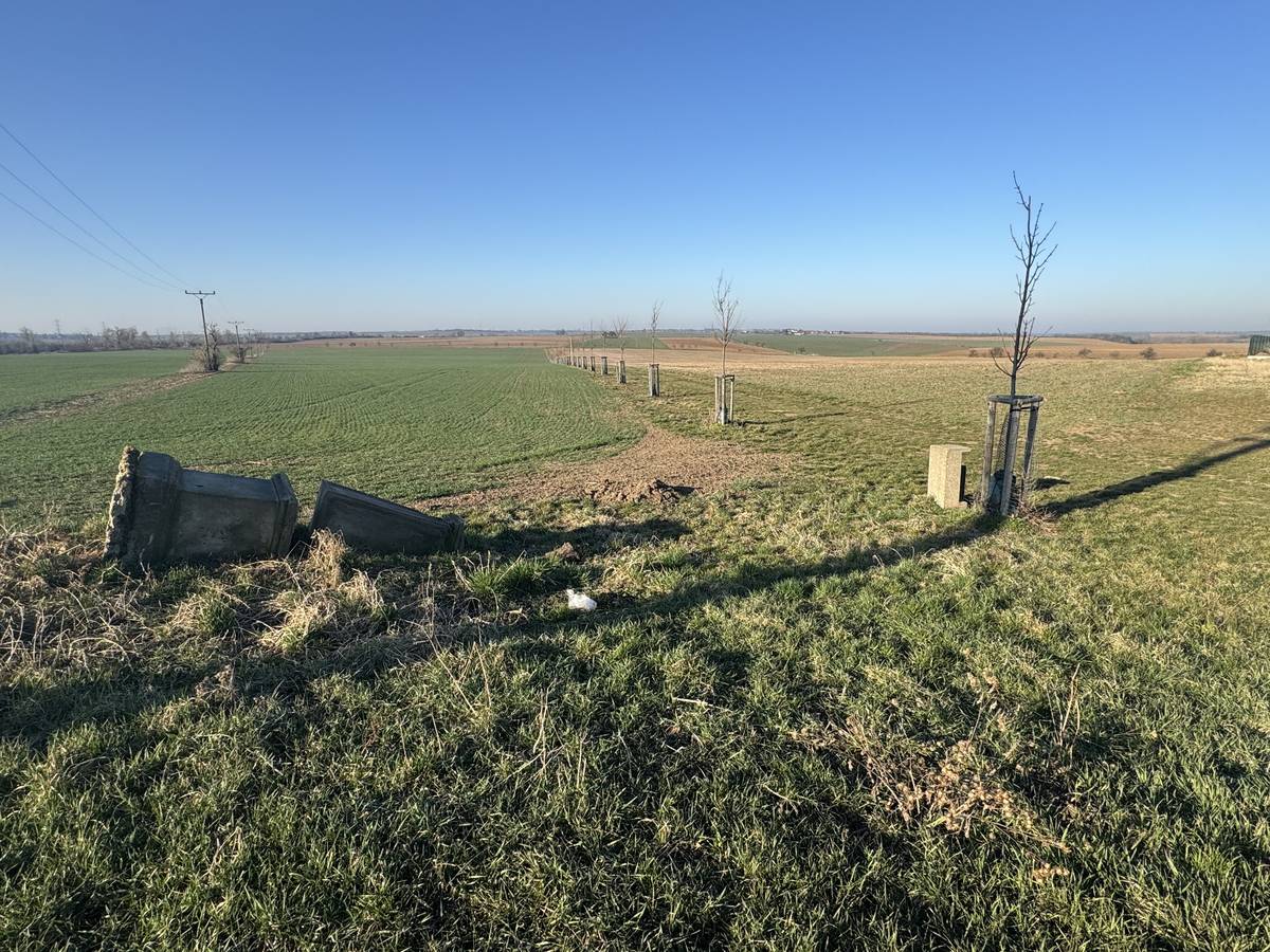 Včera jsme měli státní svátek - Den české státnosti. Je důležité si tyto dny připomínat a uchovávat v paměti pro další generace.  Stejně tak, je důležité udržovat nebo vytvářet místa pro další naše následovníky. Jsem nesmírně rád, že se nám podařila první etapa opravy božích muk a odpočinkového místa u polních cest a alejí Na Výsluní, kde byl křížek v dezolátním stavu.   Na tento projekt jsme obdrželi kapesné v grantovém programu "Kapsa Dolního Pojizeří 2025". Tato získaná dotace z MAS Dolní Pojizeří nám částečně pokryla náklady na tento projekt.     Zvláštní poděkování patří paní Mgr. Janě Toužimské a panu Bc. Petru Toužimskému za jejich dobrovolnickou akci v úpravě prostředí a osazení květin v okolí pomníku! Takto vypadá skvělá spolupráce mezi občany a vedením městyse  v úpravě svého okolí, ve kterém společně žijeme.     Věřím, že si tohoto místa občané užijí k odpočinku, relaxaci nebo popovídání s ostatními kolemjdoucími s nádherným výhledem při západu slunce.    Ing. Milan Karásek - starosta městyse Chotětov.