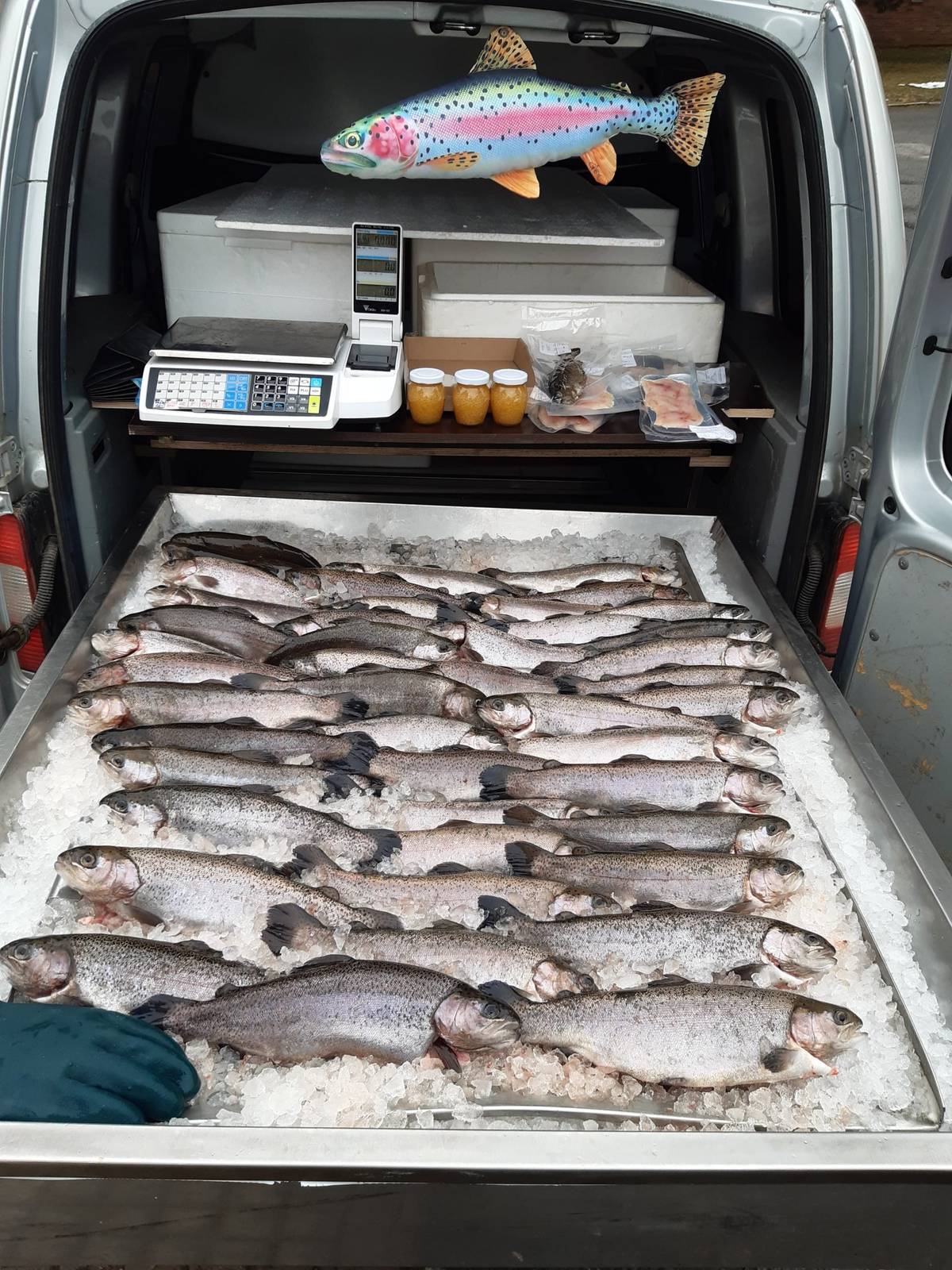 Tento čtvrtek 2. října v 17.00 Vám  Pstruhařství   Dolní Babákov  přiveze čerstvé chlazené pstruhy.  V nabídce budou  pstruzi kuchaní, uzení, filety, saláty a další rybí výrobky.