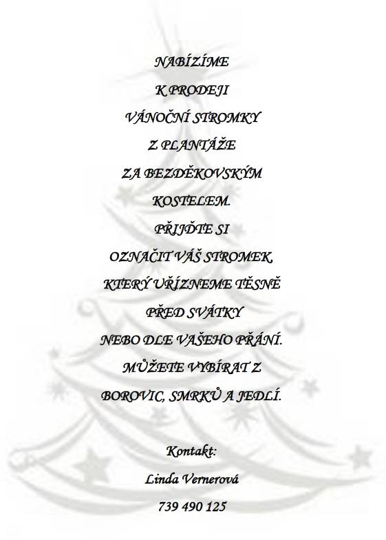 Víte, že Vánoce už jsou tu dříve, než za 3 měsíce? Mrkněte na tradiční nabídku.