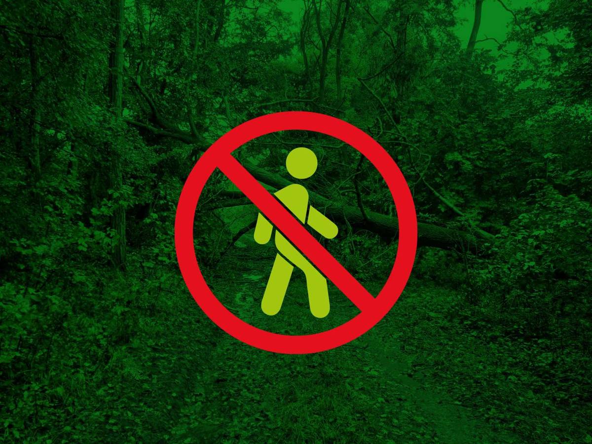 Rádi bychom Vás informovali o situaci v lese Lískovec (Pruty). Silný vítr, který tento týden zasáhl naši obec, způsobil značné škody na lesním porostu.  Pokud nemusíte, nevstupujte prosím do této části lesa – nacházejí se zde poškozené a popadané stromy a hrozí riziko úrazu. Děkujeme za pochopení.