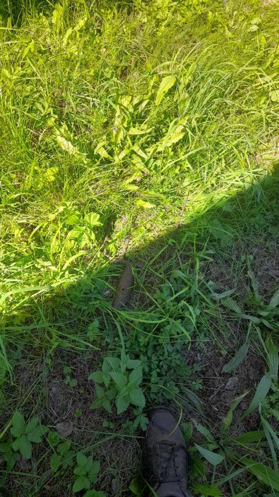 I takoví jsou obyvatelé obce, kteří se snaží poškozovat techniku lidem, kteří udržují trávníky v obci. Je to schválnost? Rádi bychom uvítali, kdyby se někdo přihlásil na OÚ, že má zájem v Sebečicích se starat o zeleň a sekat plochy v obci. Viz Fotografie