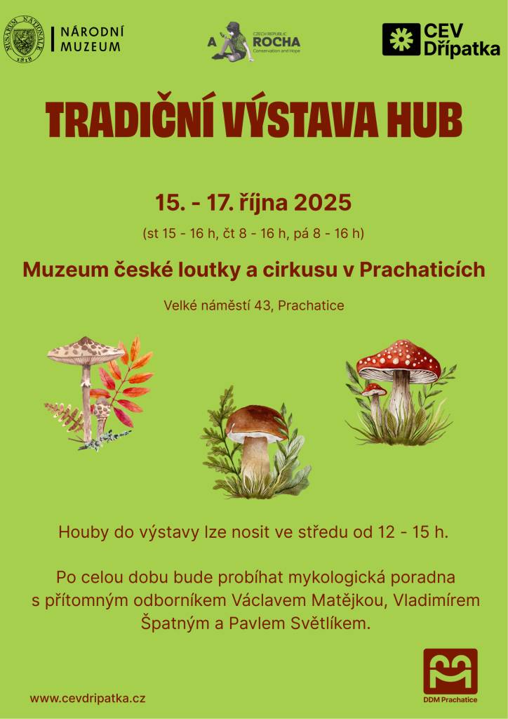 Od 15. do 17. října 2025 se v Muzeu české loutky a cirkusu v Prachaticích koná tradiční výstava hub. Návštěvníci se mohou těšit na mykologickou poradnu vedenou odborníky a možnost donést vlastní houby ve středu od 12 do 15 hodin.