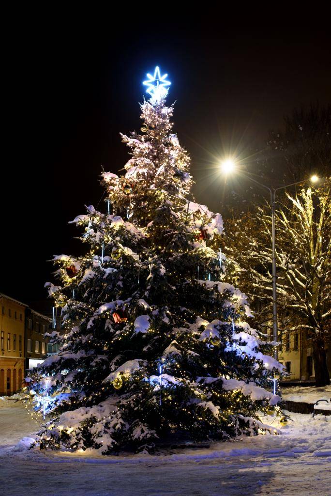 Máte na zahradě jehličnan, který už přerostl své místo? Možná se právě on stane letošním vánočním stromem na brušperském náměstí.
