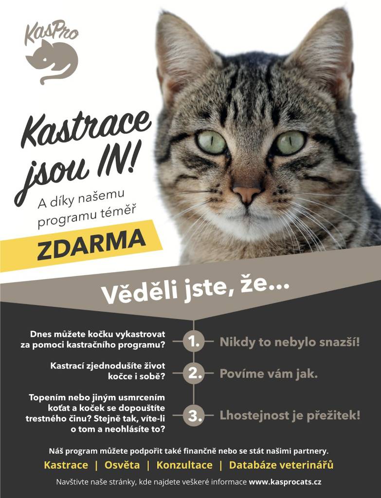 Vzhledem k situaci v problematice toulavých koček v ČR, jsme se rozhodli přistoupit k preventivnímu opatření v podobě integrace kastračního programu ve městě Přelouči a jeho místních částech. Program cílí na prevenci formou osvěty, ale také nabízí řešení v podobě kastrací.