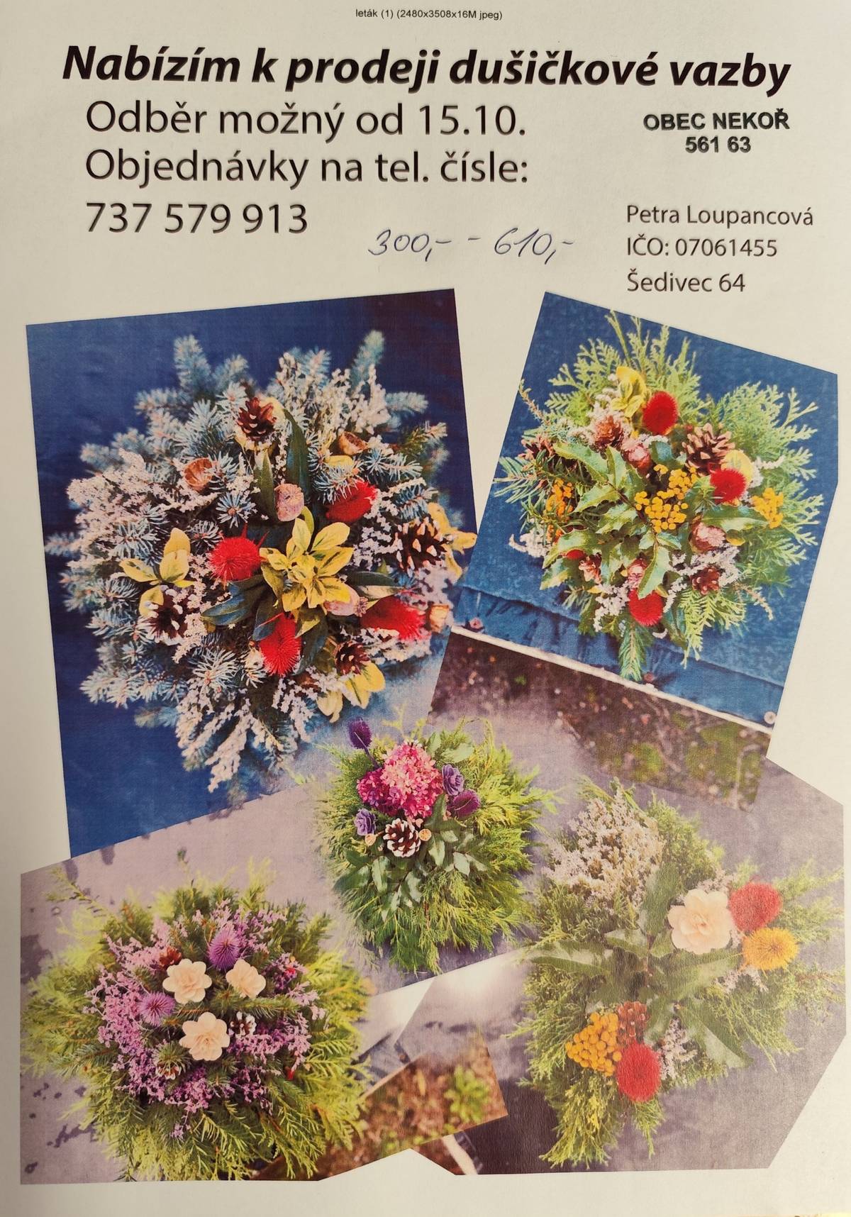 Paní Petra Loupancová ze Šedivce nabízí k prodeji dušičkové vazby. Odběr možný od 15.10. 2025. Objednávky na tel. čísle: 737 579 913