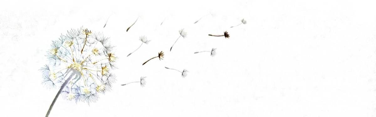 Smuteční oznámení