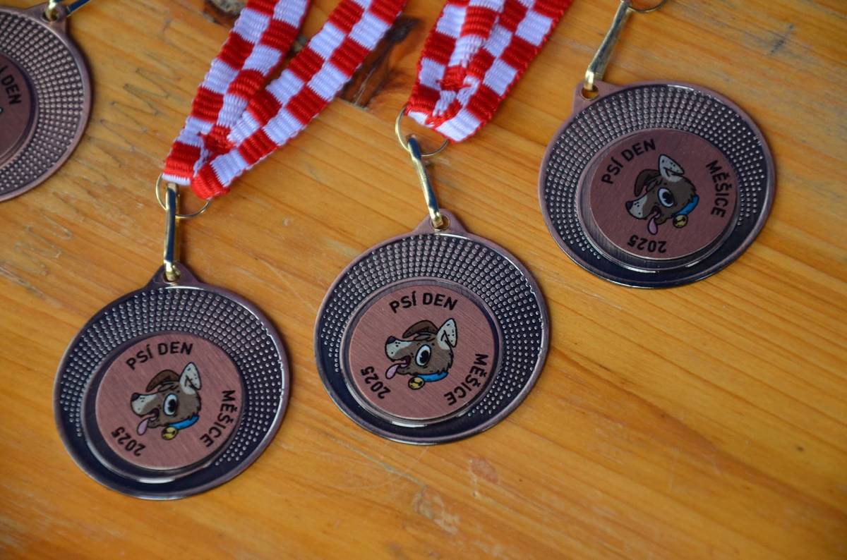 V sobotu jsme si společně s našimi čtyřnohými kamarády užili nezapomenutelný Psí den na psím hřišti, který jsme uspořádali u příležitosti Mezinárodního dne zvířat právě na našem psím hřišti Purina. Pod taktovkou zkušené trenérky záchranářské skupiny K9, Aleny Vratné, se konaly soutěže, které bavily jak pejsky, tak (doufáme) i jejich páníčky a paničky. Naším hlavním cílem bylo, aby si všichni (pejskové i jejich páníčci a paničky) užili den bez stresu, s úsměvem a v pohodové atmosféře. Pro ty nejlepší čekaly medaile s originálním motivem od ilustrátorky Barbory Křístkové a bohaté ceny od našeho skvělého partnera Purina CZ, kterému tímto moc děkujeme za podporu! 🤝🎁 Program byl nabitý nejen soutěžemi, ale i poutavým doprovodným programem. Veterinární zvířecí záchranná služba PET-MEDIC předváděla, jak správně poskytnout první pomoc pejskovi, a připravila i soutěž, kde si účastníci mohli vyzkoušet své nové znalosti v praxi. 🚑🐶 Karolína Hájková z Psího magazínu nás i letos poctila svou návštěvou a poutavě pohovořila o zákonné povinnosti čipování psů a zdůraznila důležitost registrace psů v oficiálních registrech. Přítomní si navíc mohli na místě ověřit, pomocí čtečky čipů, že jejich kamarádi jsou opravdu očipovaní. Současně se na psím hřišti konala i kočičí foto soutěž v kategoriích "kočka a její ukryt" a "kočka v akci". Návštěvníci psího dne hlasovali a vybrali fotky, které nejvíce splňovali kritéria naší soutěže. Děkujeme za vaše hlasy a oddílu Průzkumník, který nám tuto soutěž pomáhal uskutečnit. Celý den skvěle moderoval herec Miroslav Hrabě, který dokázal udržet skvělou náladu po celý den. :) Děkujeme všem, kteří dorazili a společně s námi oslavili naše věrné parťáky!🩵   Foto: Václav Lukavský, Psí magazín, Tomáš Kreml