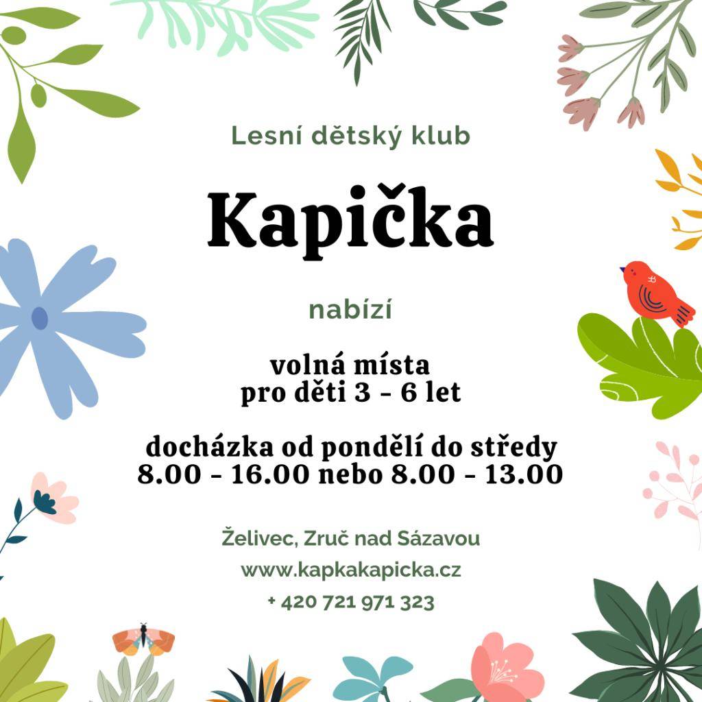LESNÍ DĚTSKÝ KLUB KAPIČKA