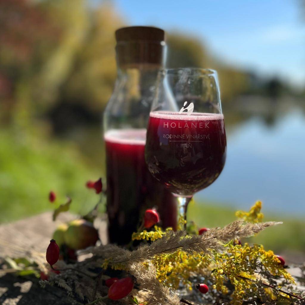 Vinařství Holánek přijede v pátek 10.10. s pojízdnou vinotékou na parkoviště před samoobsluhou. Prodej proběhne od 13 do 13.20 hod. Tento týden je v nabídce červený i bílý burčák, vína sudová 80-90 Kč/litr, vína lahvová výběr z hroznů, pozdní sběr 150-250 Kč.