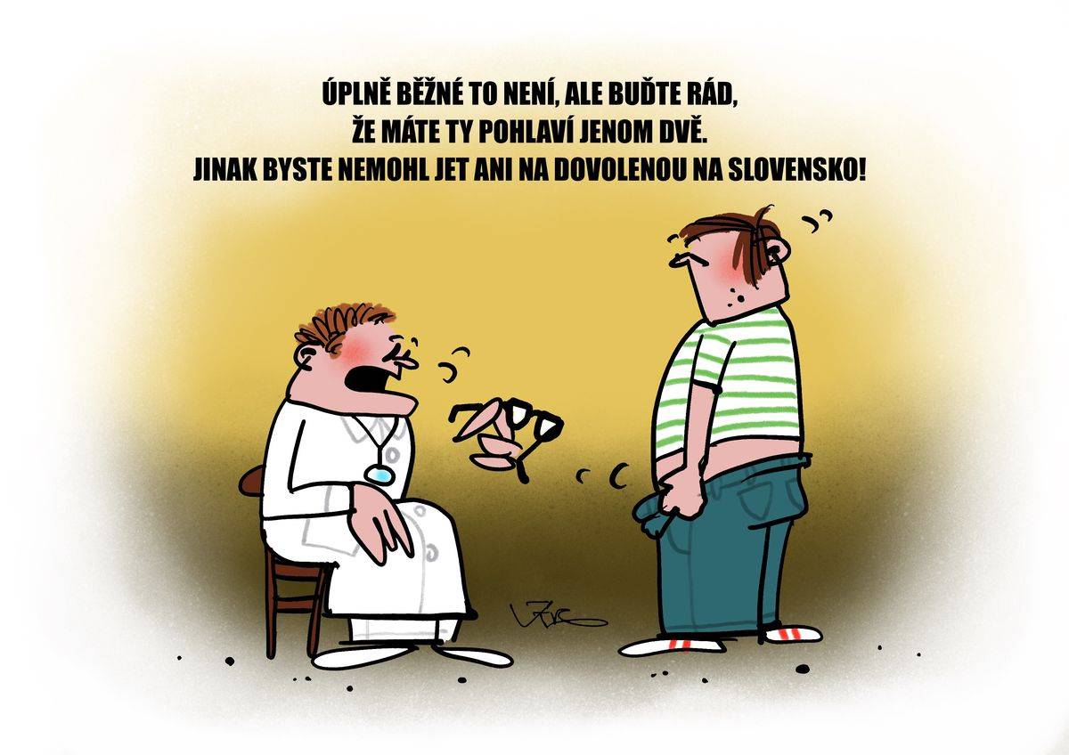 Podmínky pro vycestování na Slovensko