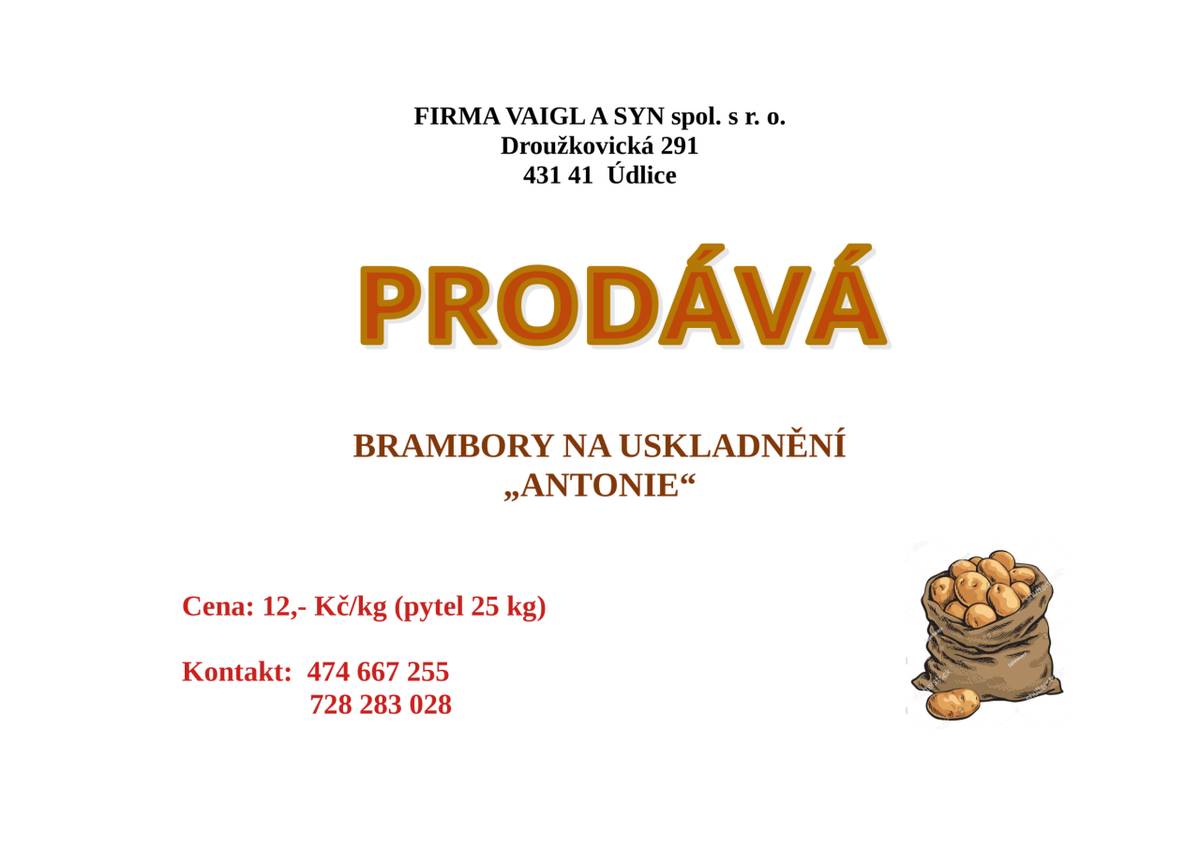 Firma Vaigl a syn spol. s.r.o. nabízí k prodeji brambory na  uskladnění za 12,- Kč/kg.