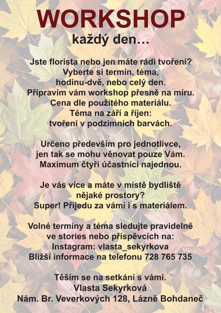 Workshop s paní Vlastou Sekyrkovou. Bližší informace naleznete v letáku.