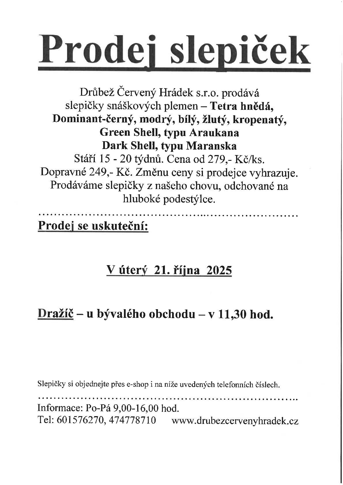 Prodej slepiček Drůbež Červený Hrádek s.r.o. 21.10.2025 v 11:30 hod.