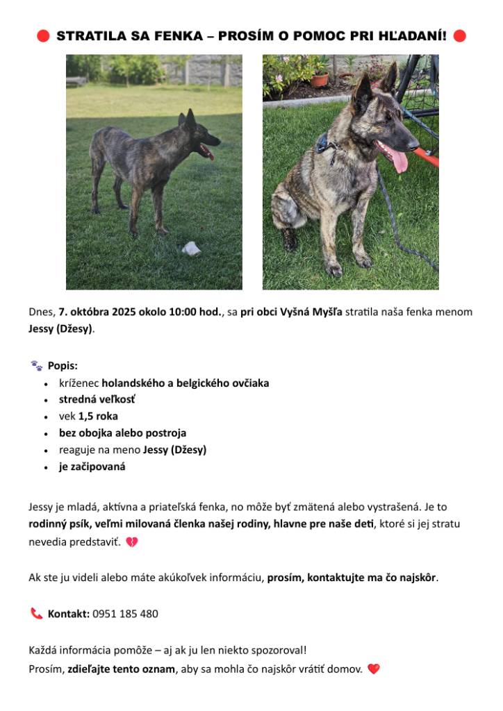 07.10.2025 okolo 10:00 hod. sa pri obci Vyšná Myšľa stratila fenka Jessy. Ide o kríženca holandského a belgického ovčiaka (viď foto), stredná veľkosť, vek 1,5 roka, bez obojka alebo postroja, je začipovaná.  Ak ste ju videli alebo máte akúkoľvek informáciu, kontaktujte tel. č. 0951 185 480.