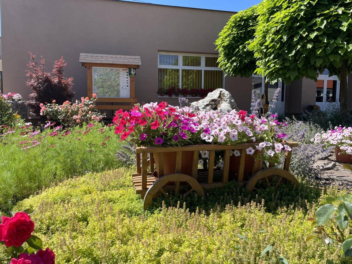 Predstavujeme fotografie záhrad a balkónov zapojených do 3. ročníka súťaže o najkrajšiu záhradu a balkón v obci Kokošovce. Víťaza určí porota zložená s poslancov obecného zastupiteľstva na najbližšom zasadnutí obecného zastupiteľstva.