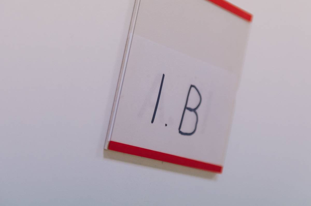 Informace k zápisu do základní školy a k pravidlům žádostí o odklad najdete na webu MČ Praha-Vinoř.