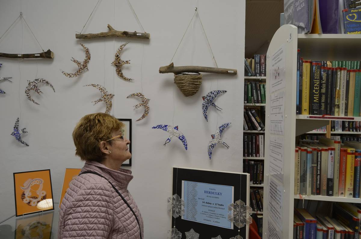 Putovní osvětová výstava o rorýsech, jiřičkách a vlaštovkách je k vidění celý říjen v Městské knihovně Meziboří Autorkou výstavy je Kateřina Rybová, která ji vytvořila z vlastní iniciativy. Jejím cílem je upozornit na význam ptáků žijících v našich městech, zlepšit porozumění vůči nim a ukázat možnosti, jak jim můžeme pomoci. Součástí výstavy jsou originální drátovaní ptáci s korálky.