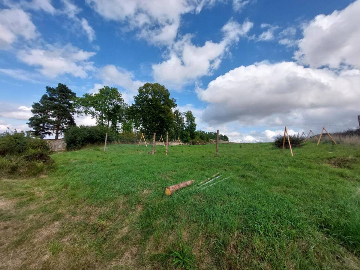 U židovského hřbitova u Telic začíná vznikat nové místo, které spojí přírodu, historii i lidi – třešňový sad. Chceme, aby tu znovu rostly stromy, které budou každé jaro kvést a vrátí do krajiny kousek života a krásy.