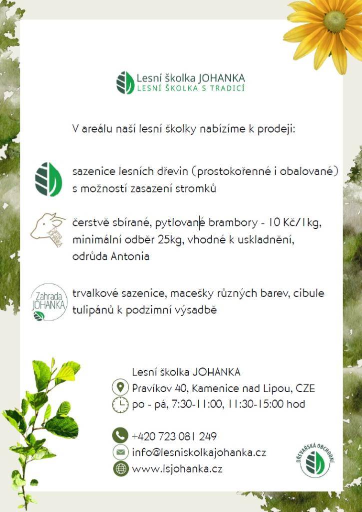 abízí sazenice lesních dřevin (prostokořenné i obalované)  s možností zasazení stromků