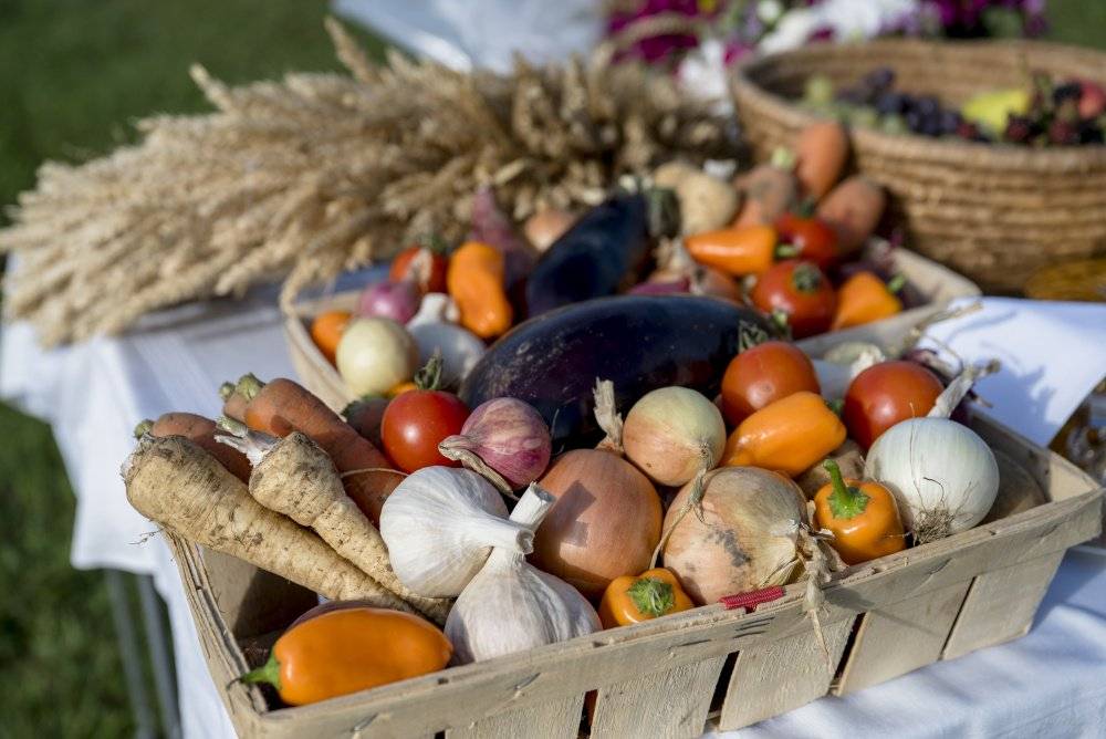Církev bratrská Vás zve na bohoslužbu - Díkůvzdání za úrodu - v neděli 12.10. od 14:30 v motlitebně CB. Kdo přinese drobnost z úrody, zúčastní se tomboly.