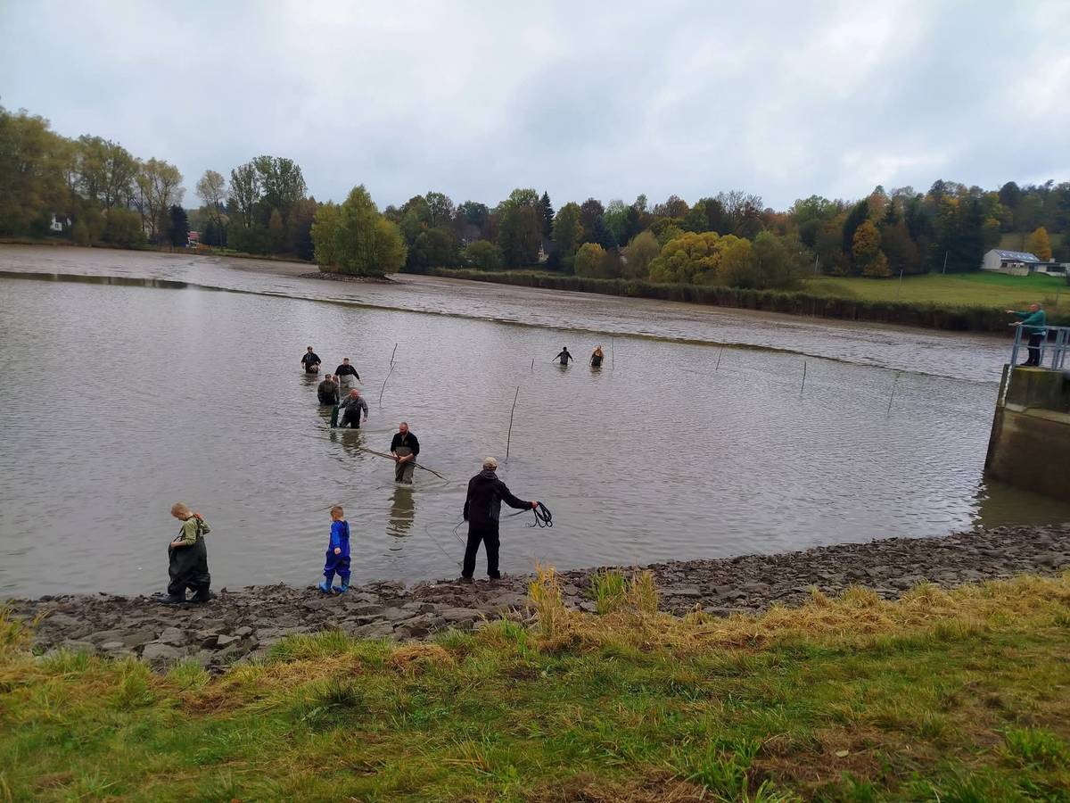 Zítřejší výlov rýbníka Velký stašovský se posouvá a začíná již od 15ti hod.