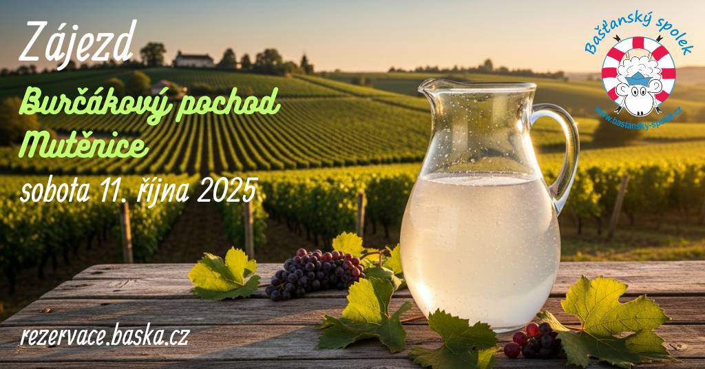 ☝Stále jsou volná místa na zájezd do Mutěnic na Burčákový pochod.  🗓 Již tuto sobotu 11. října od 7h od Obecního úřadu, návrat kolem 20h. Rezervace na rezervace.baska.cz