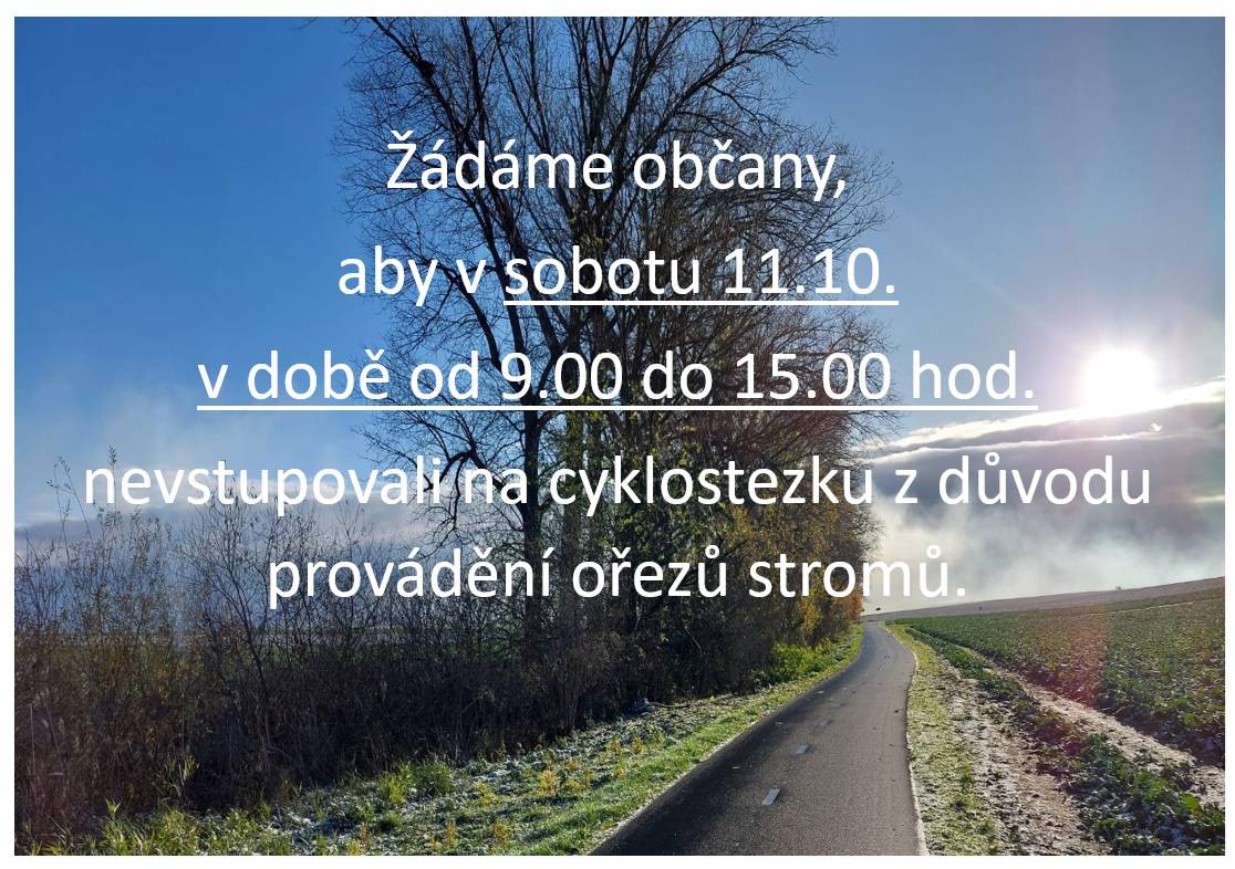 Ořez stromů na cyklostezce