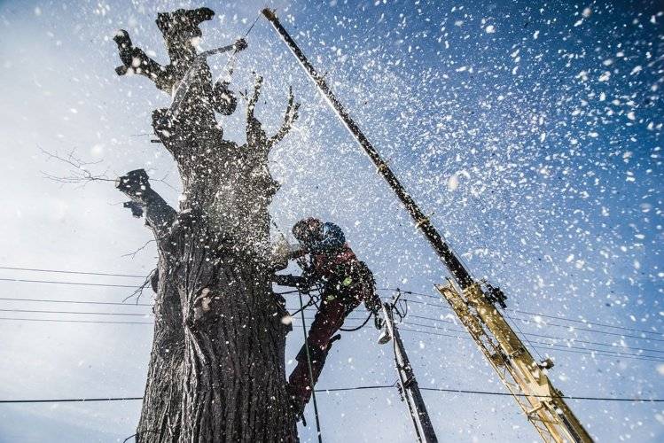 Společnost EG.D, s.r.o. vyzývá všechny vlastníky a uživatele pozemků, na kterých se nacházejí dřeviny ohrožující bezpečný a spolehlivý provoz elektrického distribučního zařízení, aby tyto dřeviny odstranili či ořezali dle pokynů, uvedených v příloze níže. Odstranění a ořez dřevin provádějte průběžně. Pomocí QR kódu z přílohy si můžete zobrazit video s návodem, jak správně ořez provést. Vlastník či uživatel nemovitosti, který neprovede ořez a odklizení dřevin, je povinen umožnit výkon souvisejících činností v ochranném pásmu provozovateli distribuční soustavy. V opačném případě může Energetický regulační úřad udělit vlastníkům či uživatelům nemovitostí pokutu.