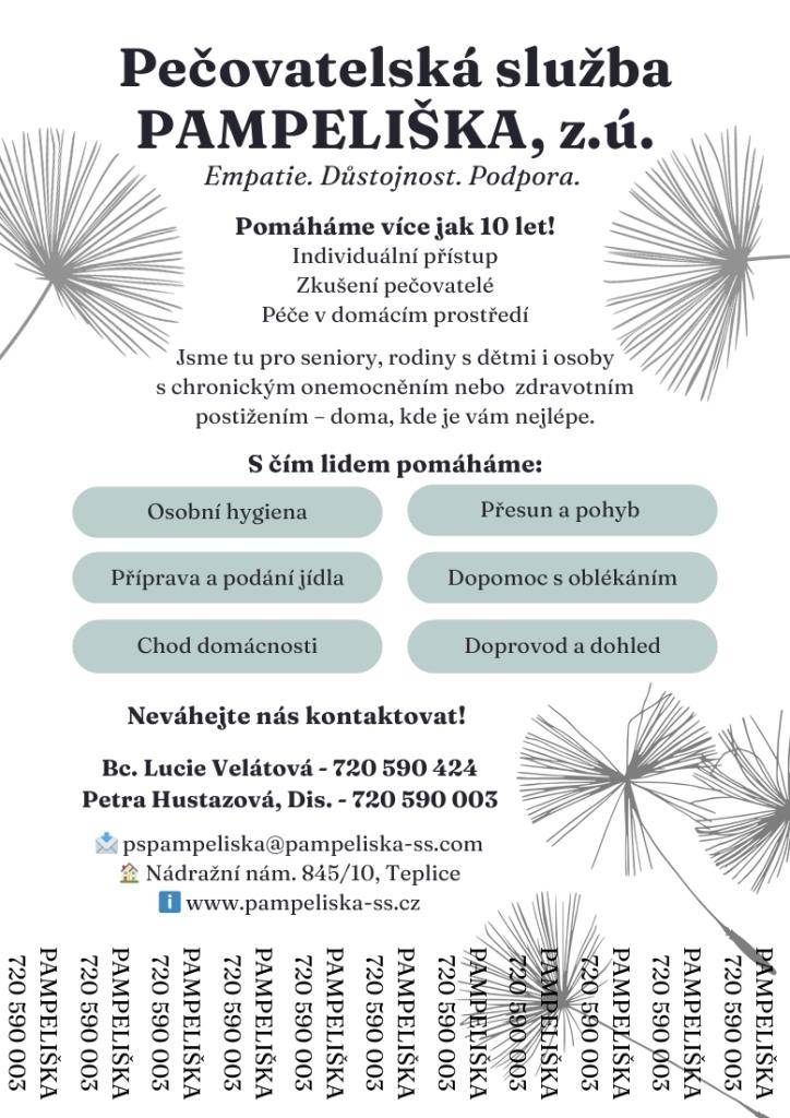 PAMPELIŠKA, z.ú. nabízí pomoc seniorům, rodinám s dětmi a osobám s chronickými onemocněními. Naše služby zahrnují osobní hygienu, podání jídla, doprovod a dohled, a další. Jsme tu pro vás více než 10 let.