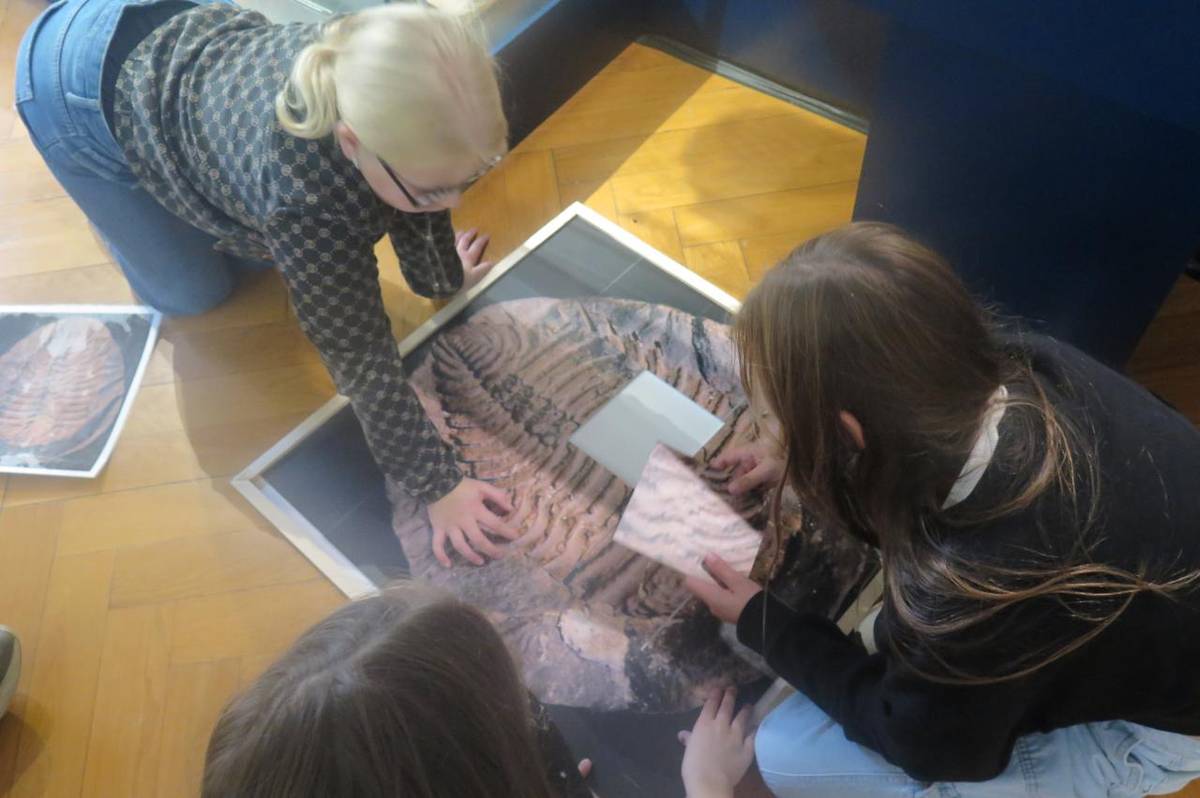 V úterý 7. října se žáci šestých tříd vydali na exkurzi do časů, kdy naše planeta vypadala úplně jinak. Cílem byla výstava v Západočeském muzeu „Velké malé bytosti ordovického moře“.