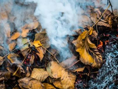 Od března platí celostátní zákaz. Nastává doba tradičního zazimování zahrad – shrabování listí, úklidu záhonů a přípravy na zimu. Právě s tímto obdobím ale letos přichází i důležitá změna.