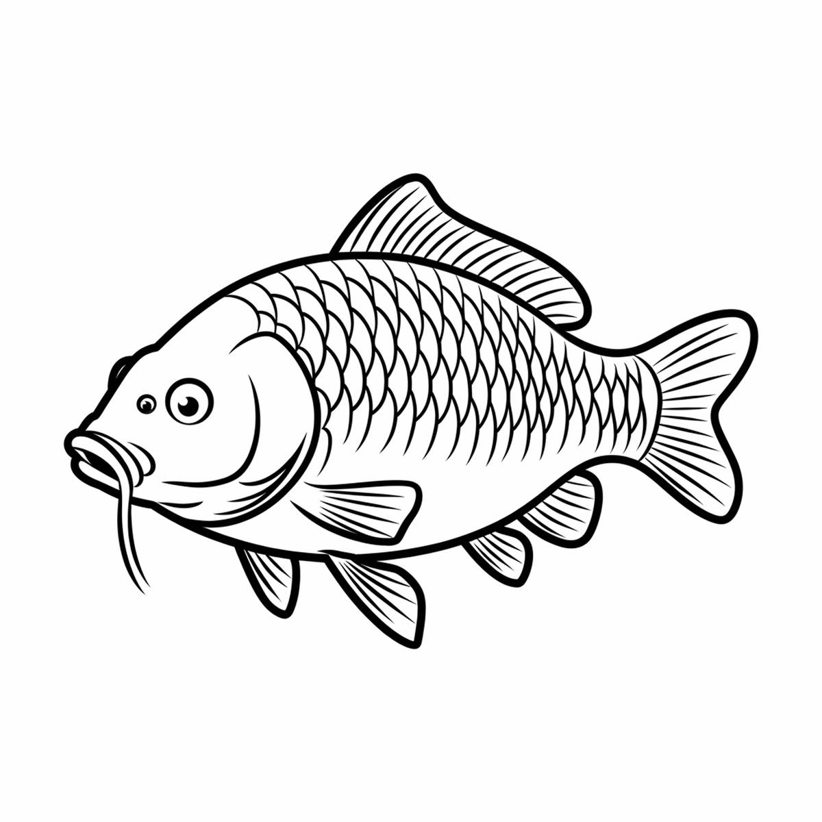 V úterý 14.10.2025 proběhne výlov rybníka Jezero. V 9 hodin je možno zakoupit ryby přímo na místě.